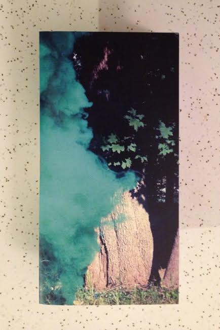 Linnaeus: The 26 Sexual Practices of Plants by Emily Skillings Artwork by Nicole Heffron